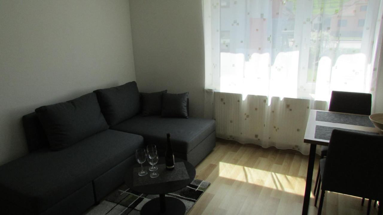 apartmány LUHA Luhačovice Kültér fotó
